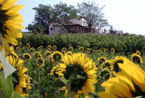 Farmhouse Città Sant'Angelo