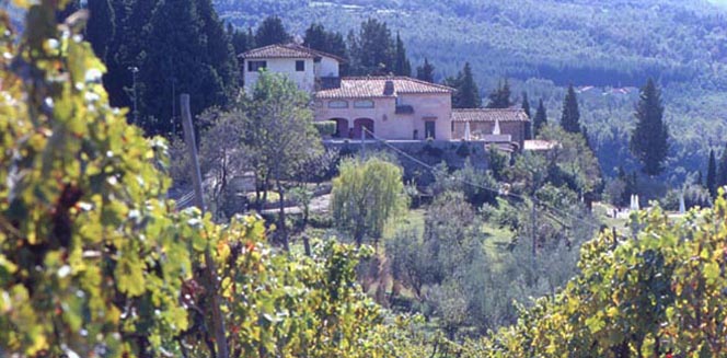 Farmhouse Diacceto (Pelago)