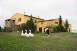 Farmhouse Manciano