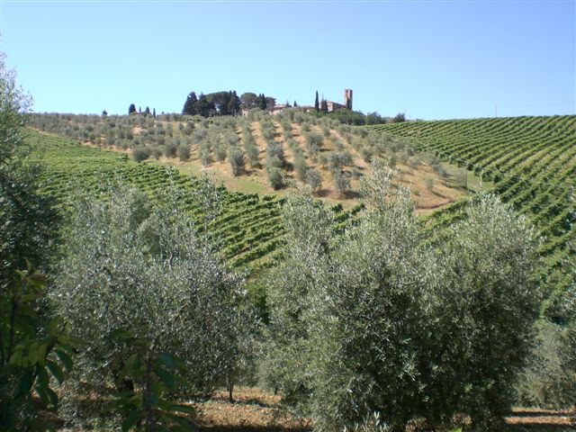 Farmhouse San Gimignano