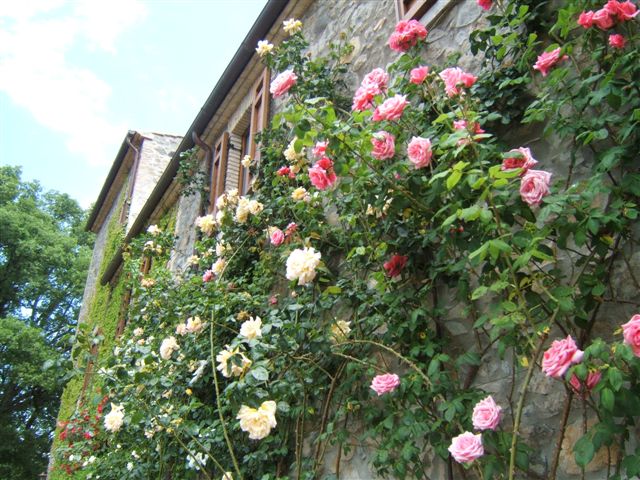 Farmhouse Orvieto